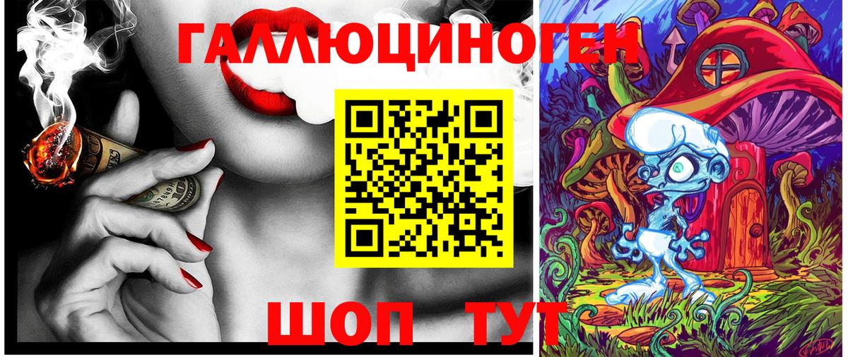 Псилоцибиновые грибы Psilocybine cubensis Алейск