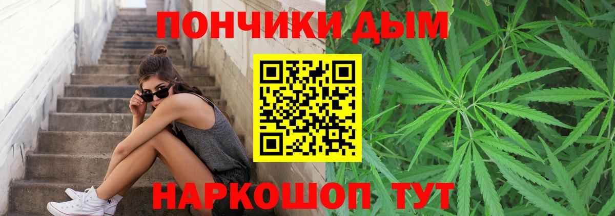 Бошки Шишки White Widow  Бошки марихуана LSD WEED  Алейск  Вход с VPN 